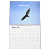 Wildbirds wandkalender kalender (Mar 2026)