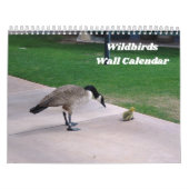 Wildbirds wandkalender kalender (Hoes)