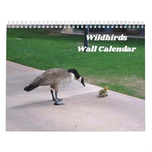 Wildbirds wandkalender kalender (Hoes)