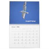Wildbirds wandkalender kalender (Jan 2026)
