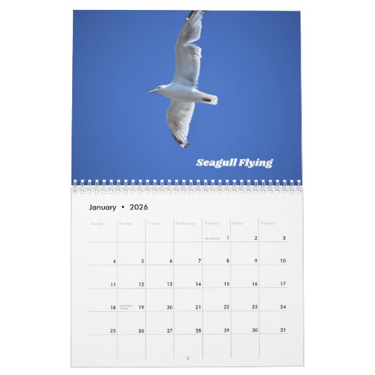 Wildbirds wandkalender kalender (Jan 2026)