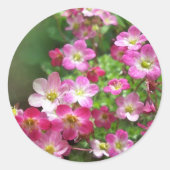 Wildbloem 1 ronde sticker (Voorkant)