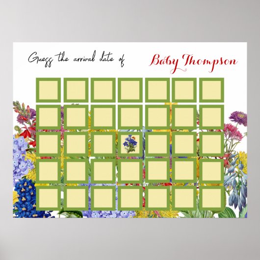 Wildbloem Floral Baby in Bloom Raad Game Shower Poster (Voorkant)