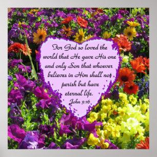 WILDBLOEM JOHANNES 3:16 FOTO POSTER