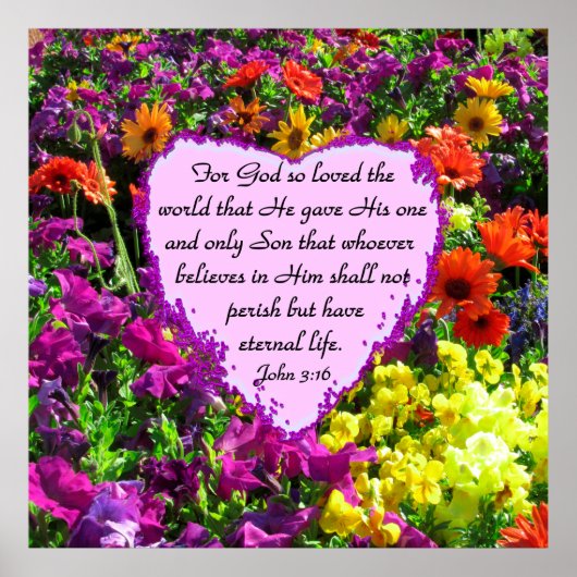 WILDBLOEM JOHANNES 3:16 FOTO POSTER (Voorkant)