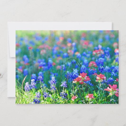 Wildbloem-uitnodigingskaart Save The Date (Achterkant)