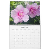 Wildbloemen 2020-kalender kalender (Jan 2027)