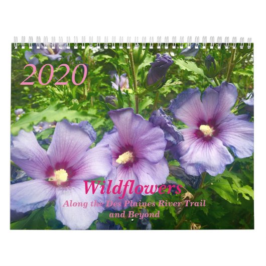 Wildbloemen 2020-kalender kalender (Hoes)