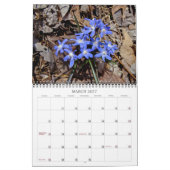 Wildbloemen #2 Kalender (Mar 2027)