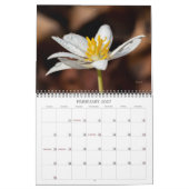 Wildbloemen #2 Kalender (Feb 2027)