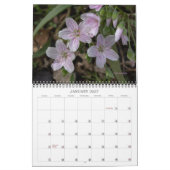 Wildbloemen #2 Kalender (Jan 2027)