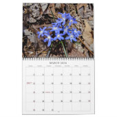 Wildbloemen #2 Kalender (Mar 2026)