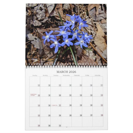 Wildbloemen #2 Kalender (Mar 2026)
