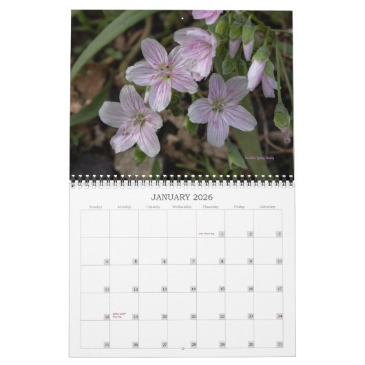 Wildbloemen #2 Kalender (Jan 2026)
