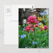 Wildbloemen (5) briefkaart (Voorkant / Achterkant)