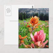 Wildbloemen (6) briefkaart (Voorkant / Achterkant)