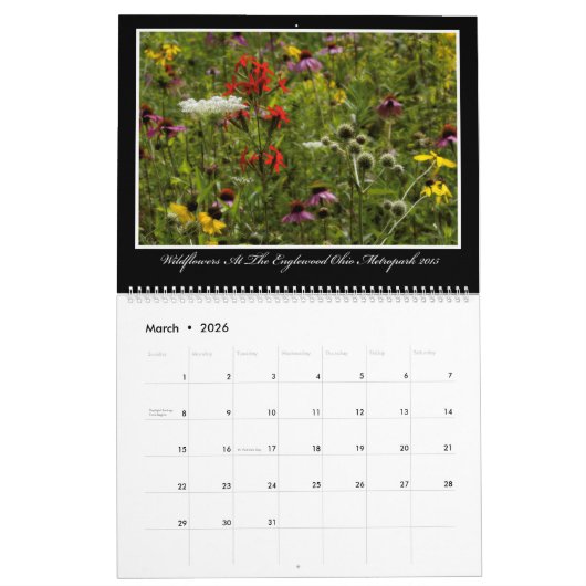 Wildbloemen Agenda 2017 van Thomas Minutolo Kalender (Mar 2026)