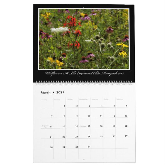 Wildbloemen Agenda 2017 van Thomas Minutolo Kalender (Mar 2027)
