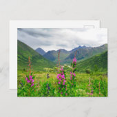 Wildbloemen Alaskan Valley Briefkaart (Voorkant / Achterkant)