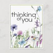 Wildbloemen Bedenk je postkaart (Voorkant)