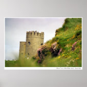 Wildbloemen bij de Cliffs of Moher, Ierland Poster (Voorkant)
