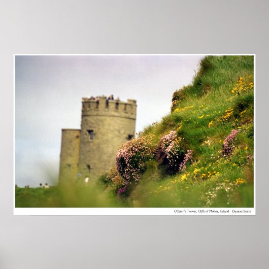 Wildbloemen bij de Cliffs of Moher, Ierland Poster (Voorkant)
