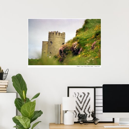 Wildbloemen bij de Cliffs of Moher, Ierland Poster (Thuiskantoor)