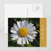 WILDBLOEMEN BRIEFKAART (Voorkant / Achterkant)