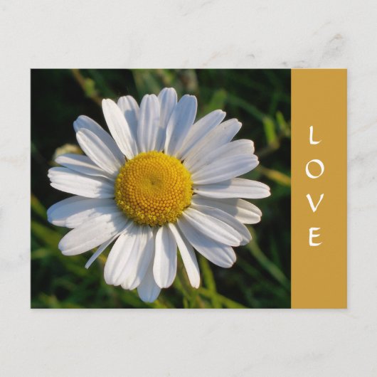 WILDBLOEMEN BRIEFKAART (Voorkant)