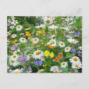 Wildbloemen Briefkaart