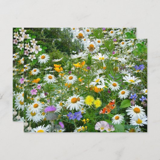 Wildbloemen Briefkaart (Voorkant / Achterkant)