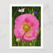 Wildbloemen Briefkaart (Voorkant)