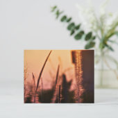 Wildbloemen - briefkaarten (Staand voorkant)