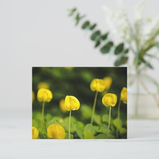 Wildbloemen briefkaarten (Staand voorkant)