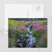 Wildbloemen, Clements Mountain, Montana Briefkaart (Voorkant / Achterkant)