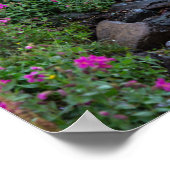 Wildbloemen, Clements Mountain, Montana Poster (Hoek)