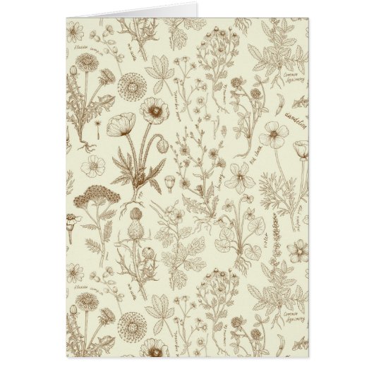 Wildbloemen collage/ beige en sepia (Voorkant)