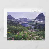 Wildbloemen en Verborgen meer, Shrubby Briefkaart (Voorkant / Achterkant)