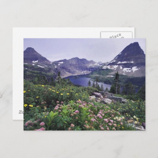 Wildbloemen en Verborgen meer, Shrubby Briefkaart (Voorkant / Achterkant)