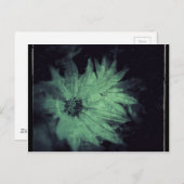 Wildbloemen Grunge Briefkaart (Voorkant / Achterkant)