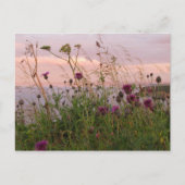 Wildbloemen in Dusk Briefkaart (Voorkant)