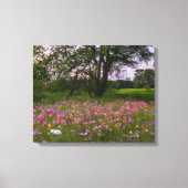 Wildbloemen in het land bij zonsondergang canvas afdruk (Voorkant)