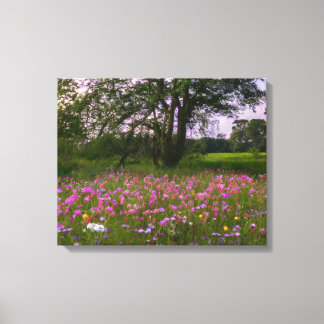 Wildbloemen in het land bij zonsondergang canvas afdruk