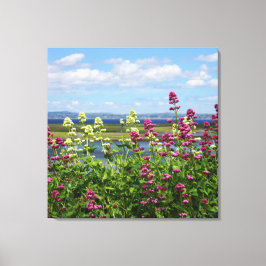 Wildbloemen in Ierland Canvas Afdruk