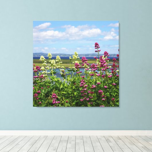 Wildbloemen in Ierland Canvas Afdruk (Insitu (Houten vloer))
