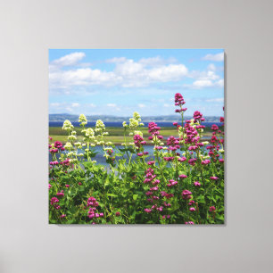 Wildbloemen in Ierland Canvas Afdruk