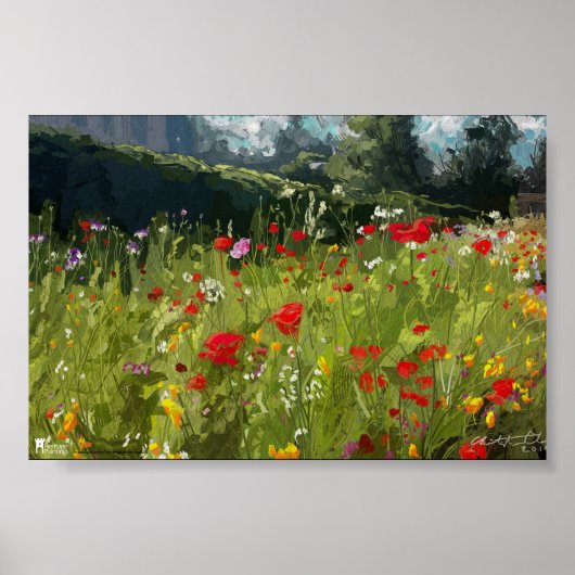 Wildbloemen in Wentworth Castle Yorkshire - poster (Voorkant)