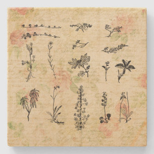  Wildbloemen Kunst voor Floral Script Stenen Onderzetter