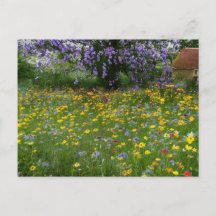Wildbloemen met een huisje op het platteland feestdagenkaart