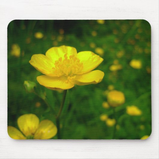 Wildbloemen Mousepad Buttercup Computer Gifts Muismat (Voorkant)